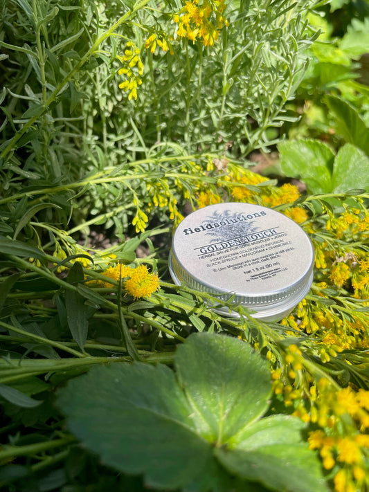 Golden Touch goldenrod salve tin resting among blooming goldenrod and green leaves