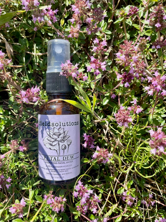 Petal Dew aloe and lavender facial water in an amber glass spray bottle resting in blooming wild thyme